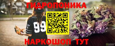 соль курить ск Гатчина